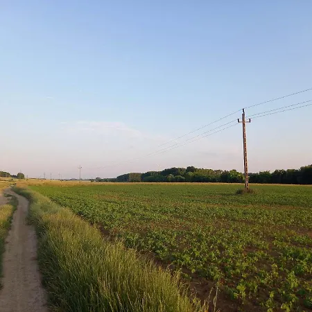 Vidam Haz, A Zoeld Szivue Faluban Sopron Mellett Sopronkovesd Exteriér fotografie