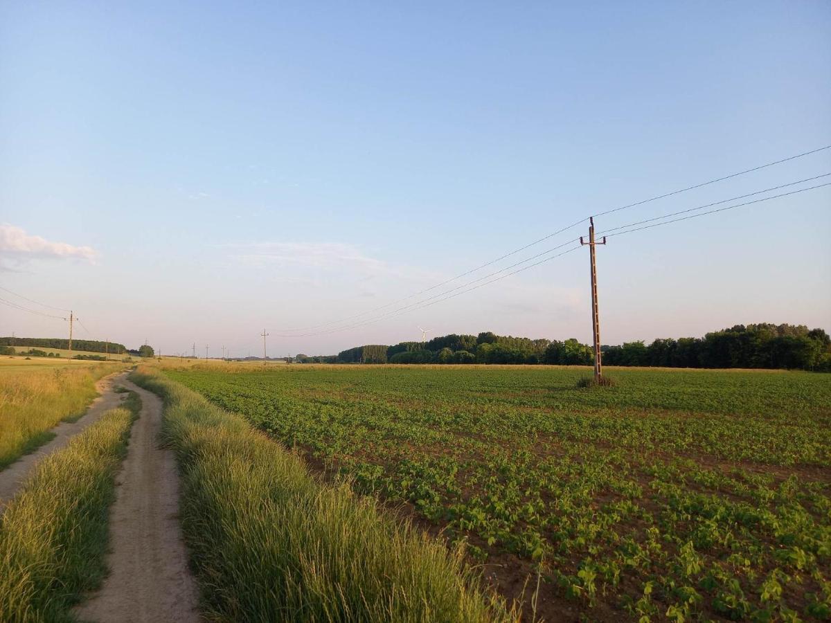 Vidam Haz, A Zoeld Szivue Faluban Sopron Mellett Apartment